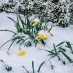 Winter Readiness Starts with Safety Training