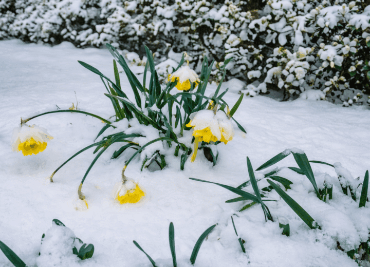 Winter Readiness Starts with Safety Training