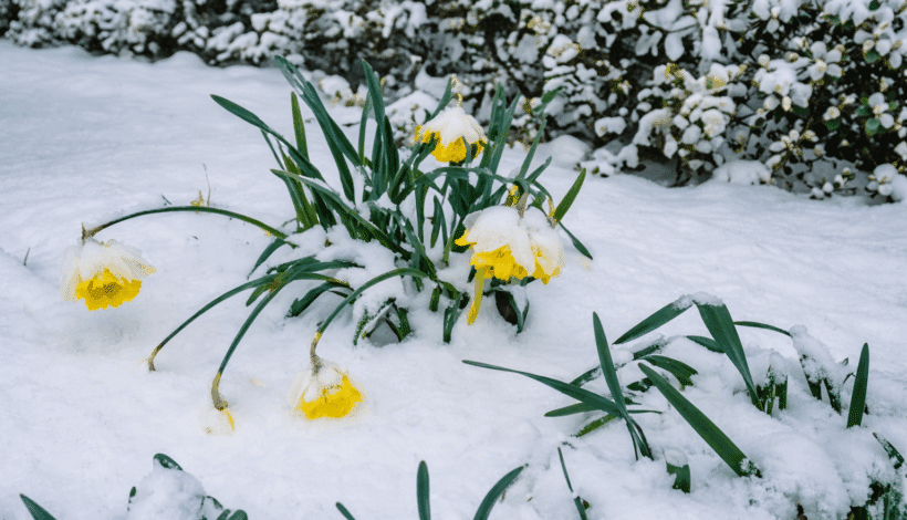 Winter Readiness Starts with Safety Training